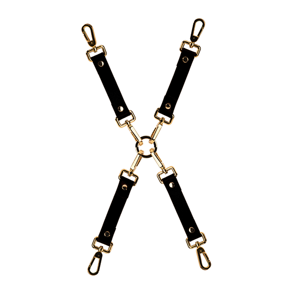 Paradise Regained: Leather Hogtie Restraining Set