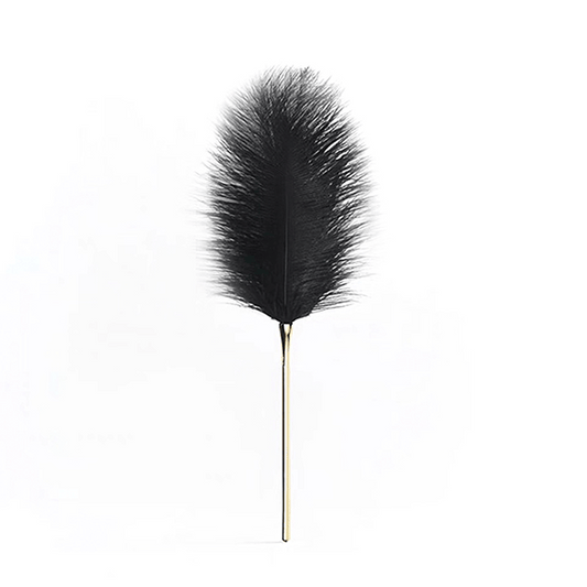 Ultimate Sensation: Luxury Ostrich Feather Teaser