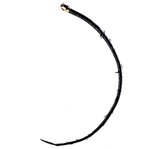 Rose & Thorn Collection: Leather Thorn Whip