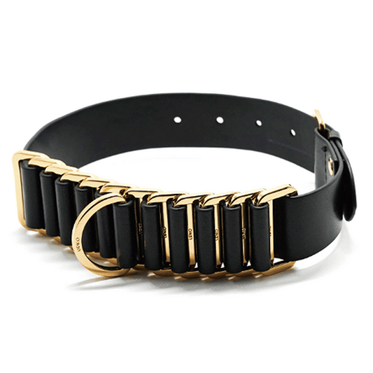 Erotic Restraints: Luxe Choker