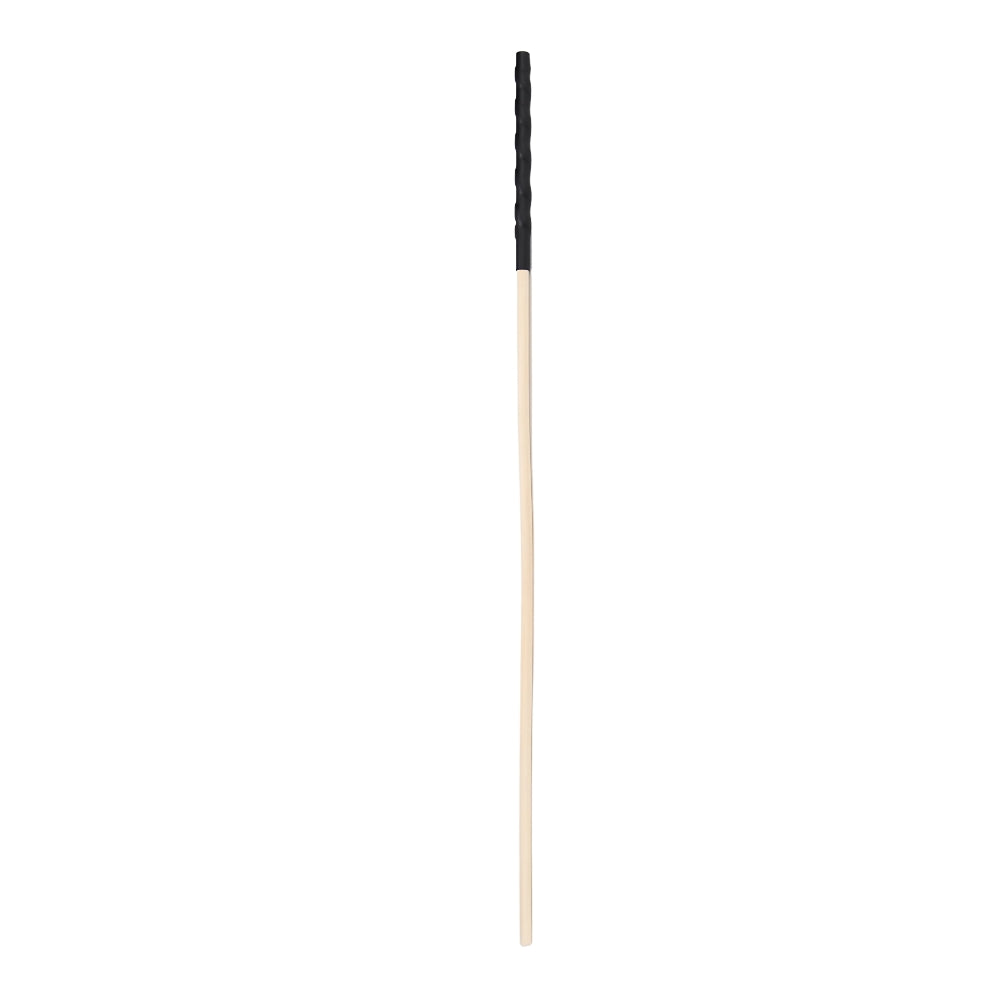 Bound to Please Spanking Cane