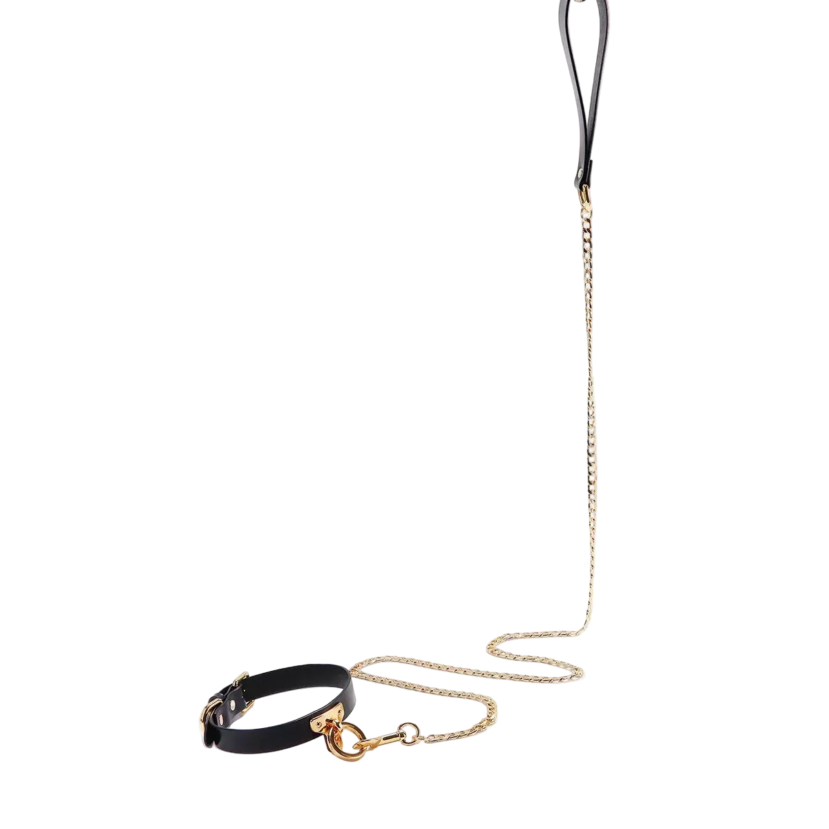 Black leather leash with gold chain attached to collar