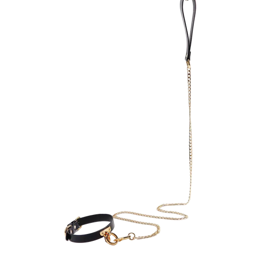 Black leather leash with gold chain attached to collar