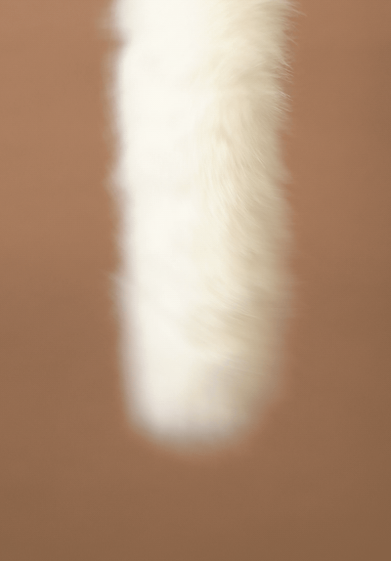 Renoir - Vixen Tail Toy