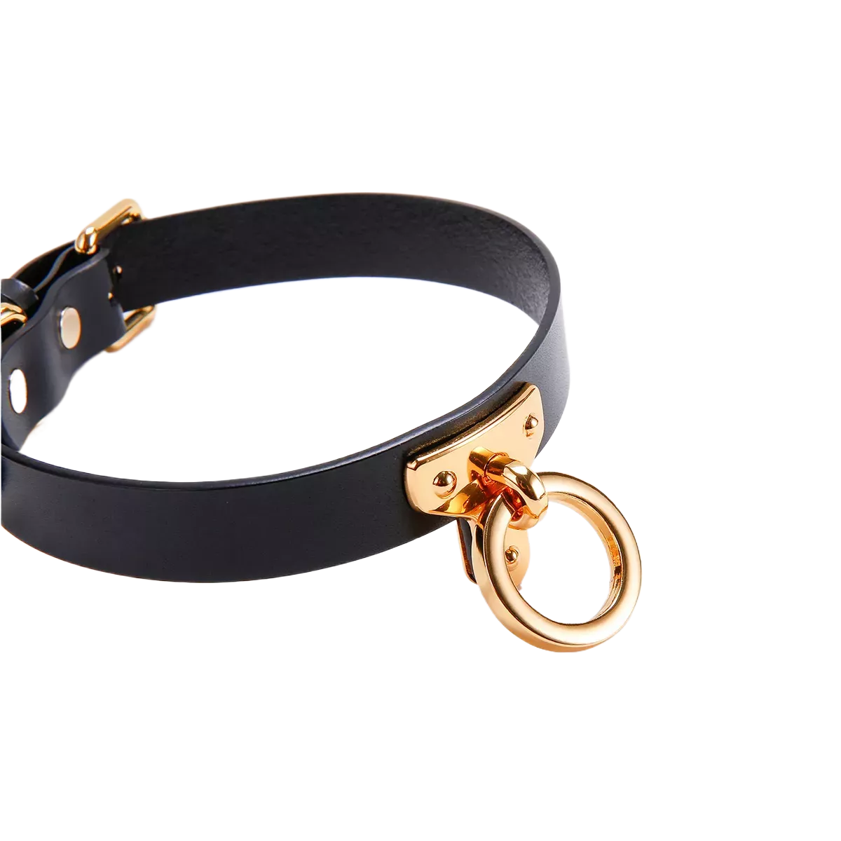 Black leather choker with gold O-ring and buckle luxury neck collar