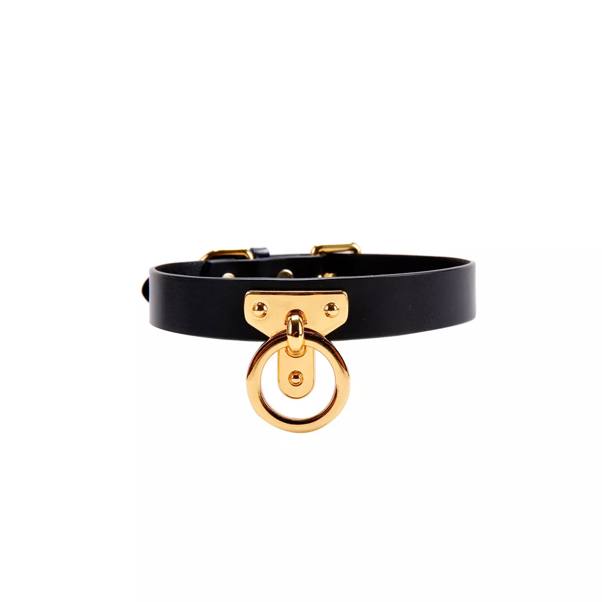 Premium leather neck collar with polished gold O-ring front view