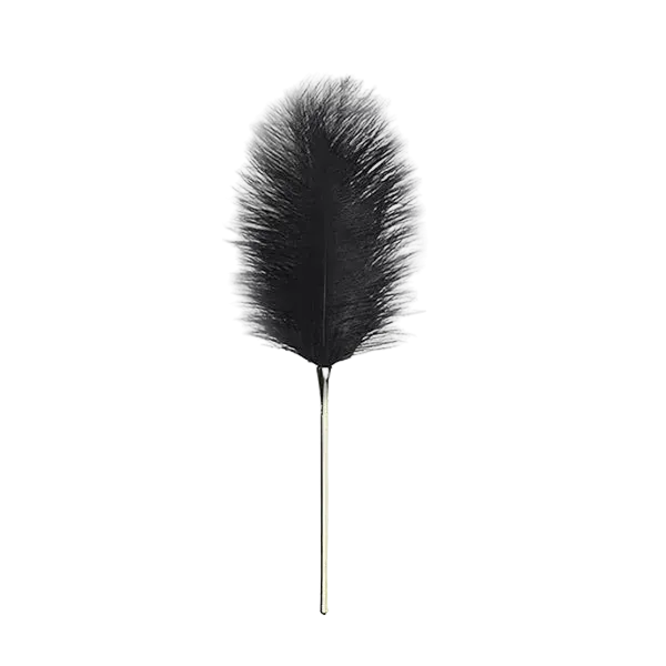 Ultimate Sensation: Luxury Ostrich Feather Teaser