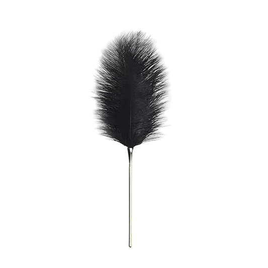 Ultimate Sensation: Luxury Ostrich Feather Teaser