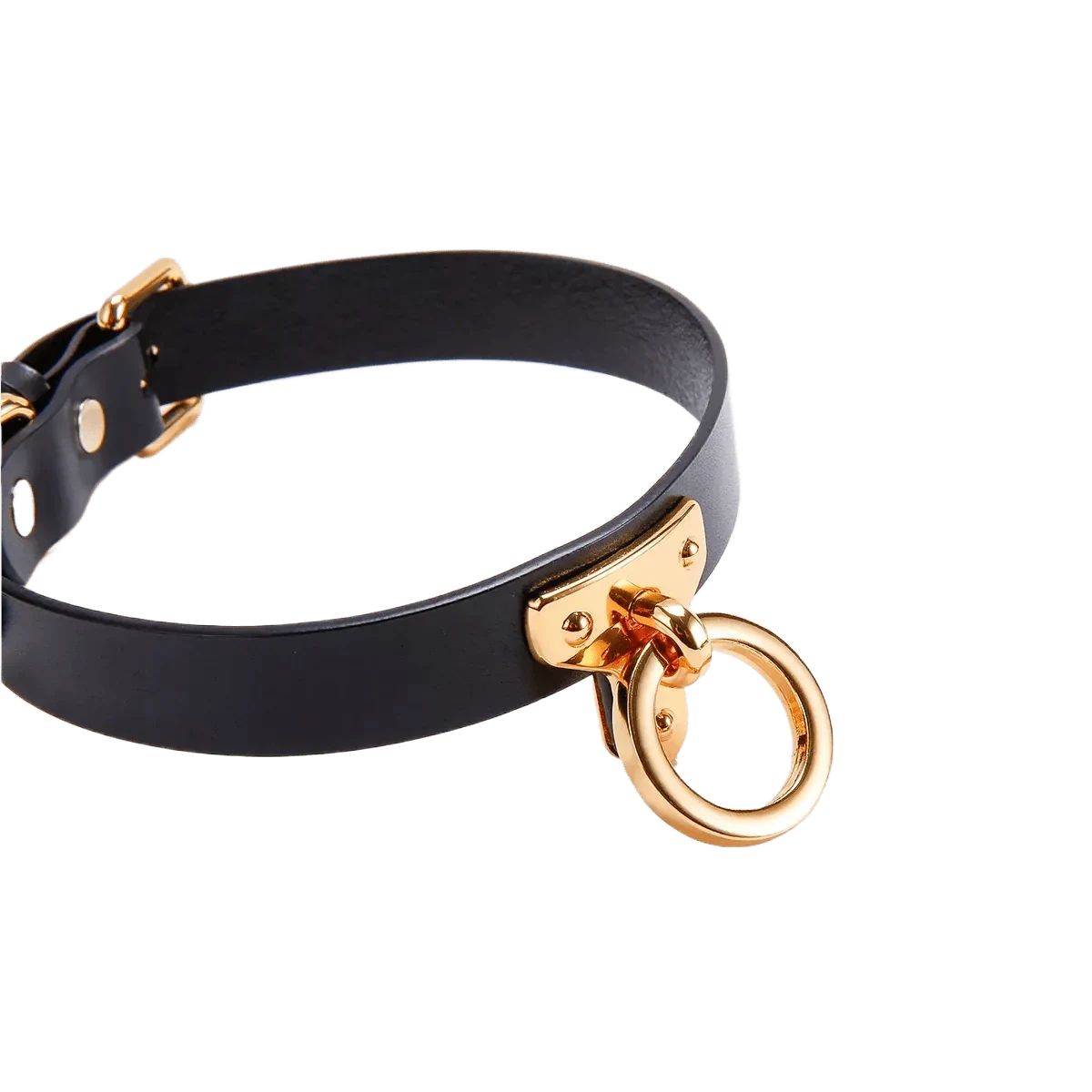 Paradise Regained: Devotional Neck Collar Main product photo — Marquis de Mayfair